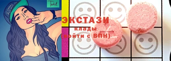 СК Ельня