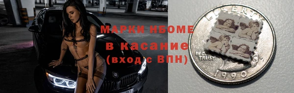 СК Ельня