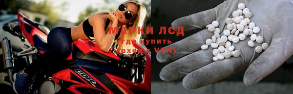 ГАЛЛЮЦИНОГЕННЫЕ ГРИБЫ Заволжск