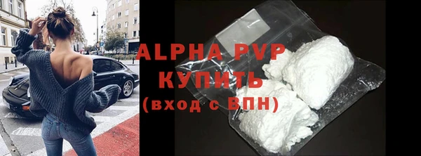 СК Ельня