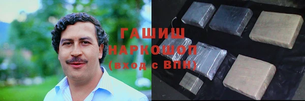 СК Ельня
