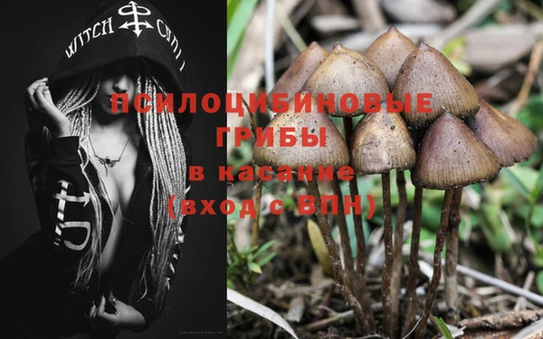 спайс Заволжье