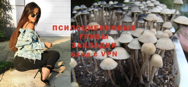 винт Елизово