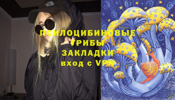 ГАЛЛЮЦИНОГЕННЫЕ ГРИБЫ Заволжск