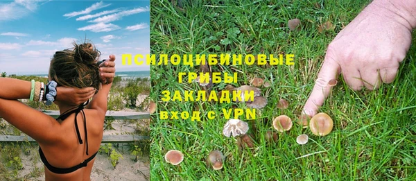 ГАЛЛЮЦИНОГЕННЫЕ ГРИБЫ Заволжск