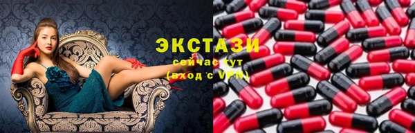 СК Ельня