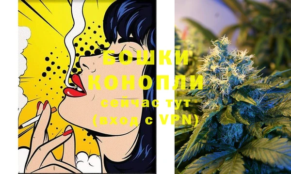 ГАЛЛЮЦИНОГЕННЫЕ ГРИБЫ Заволжск