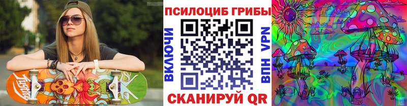 Купить закладки  Заречный  Галлюциногенные грибы ЛСД 